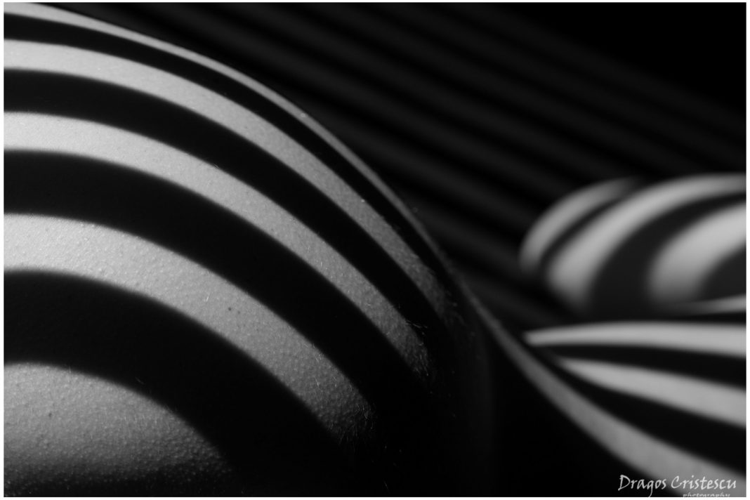 Dragos_Cristescu_Foto_BMW76589_120cm(vitrina)