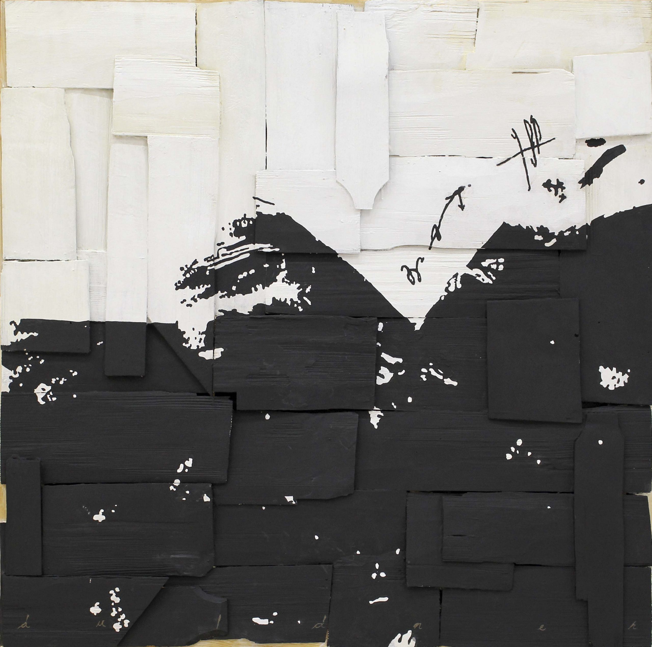 Eduard Duldner - Automate celulare - asamblaj acrilic/ lemn