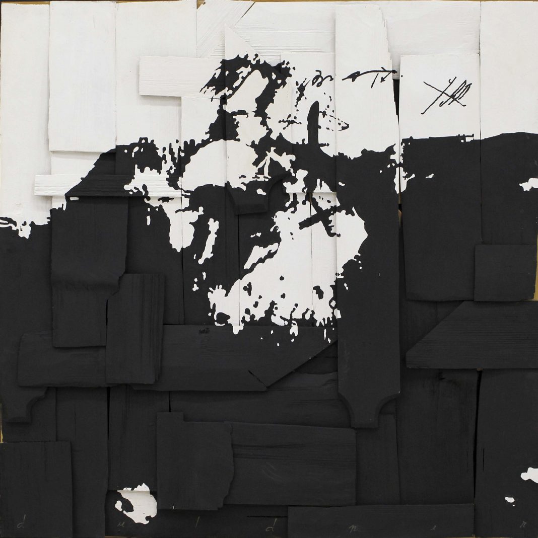 Eduard Duldner - Limita haosului - asamblaj acrilic/ lemn