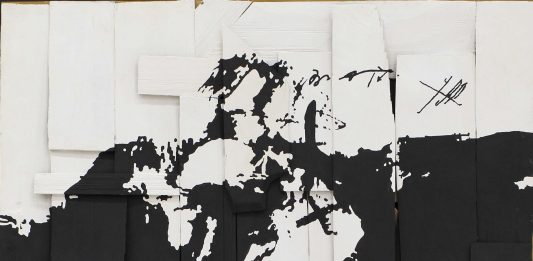 Eduard Duldner - Limita haosului - asamblaj acrilic/ lemn