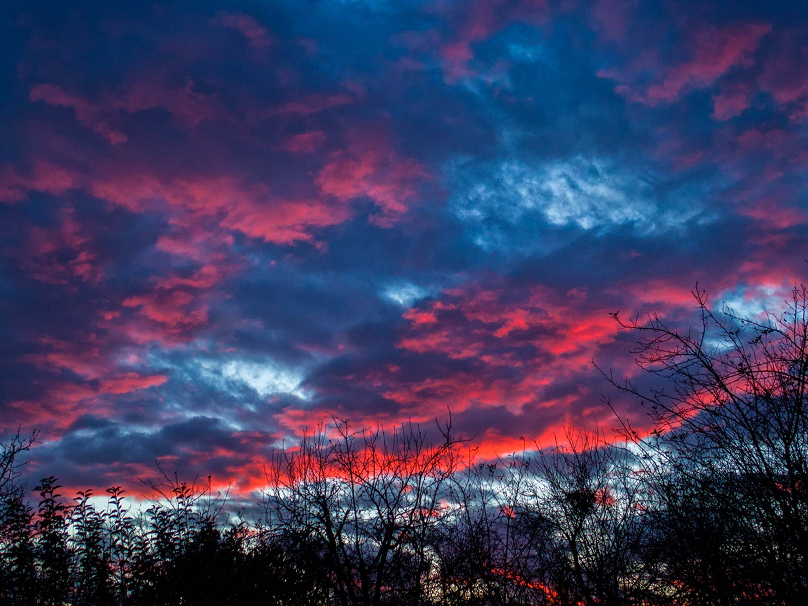 Fotografie de Dumitru Ungureanu