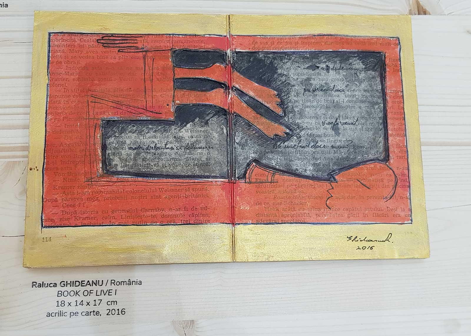 © Raluca Ghideanu, Book of Live I, 18 x 14 x 7 cm, accrilic pe carte, 2016 - MNLR, Bienală de carte bibliofilă și de carte obiect