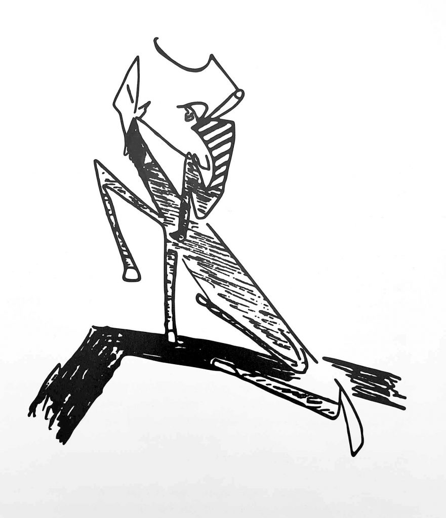 Franz Kafka - Jocheu pe cal