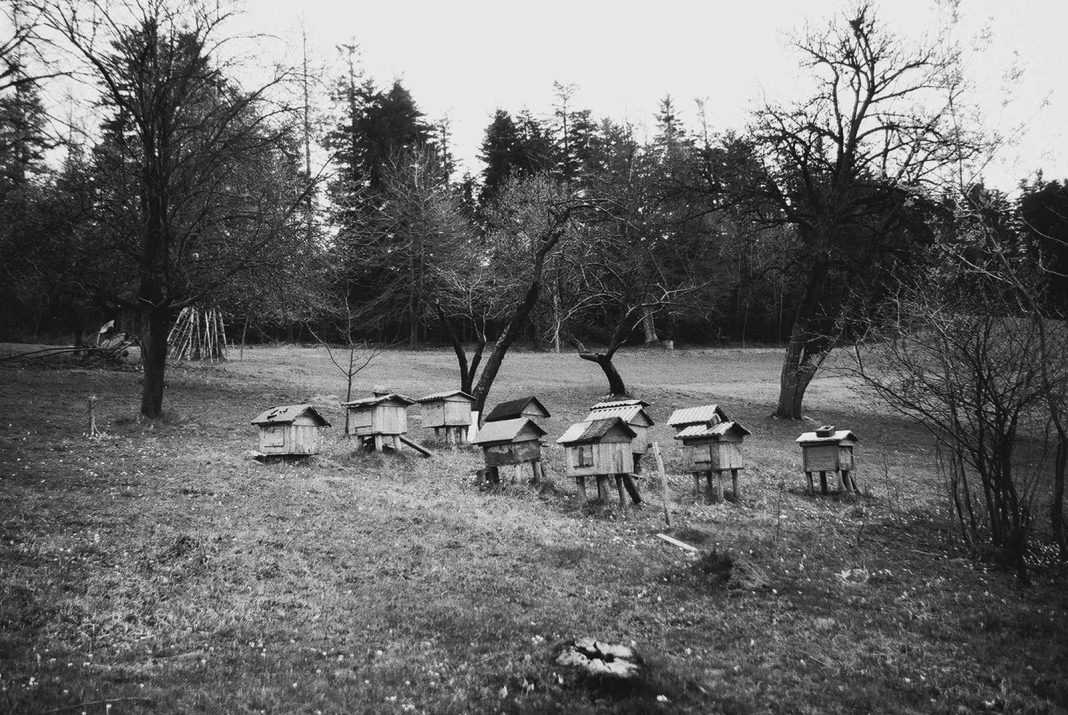 © foto Małgorzata Lebda
