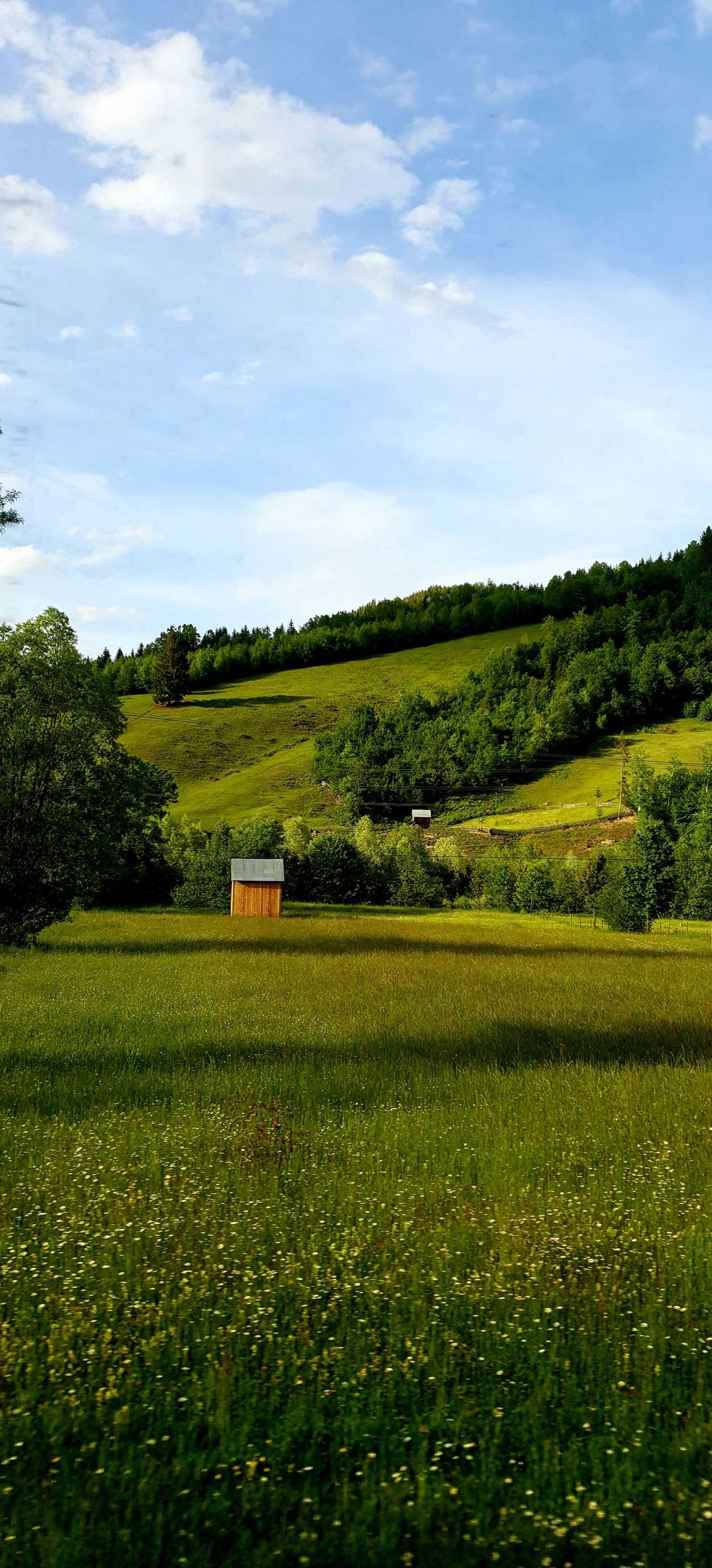 Spre Câmpulung Moldovenesc © foto Peter Sragher Spre Câmpulung Moldovenesc © foto Peter Sragher