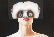 David Greenslade, Lemur Girl