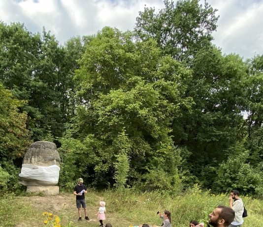 Calea către poezie în Poiana cu Cetate Matei, cuvintele fiindu-i sorbite din priviri © foto Peter Sragher