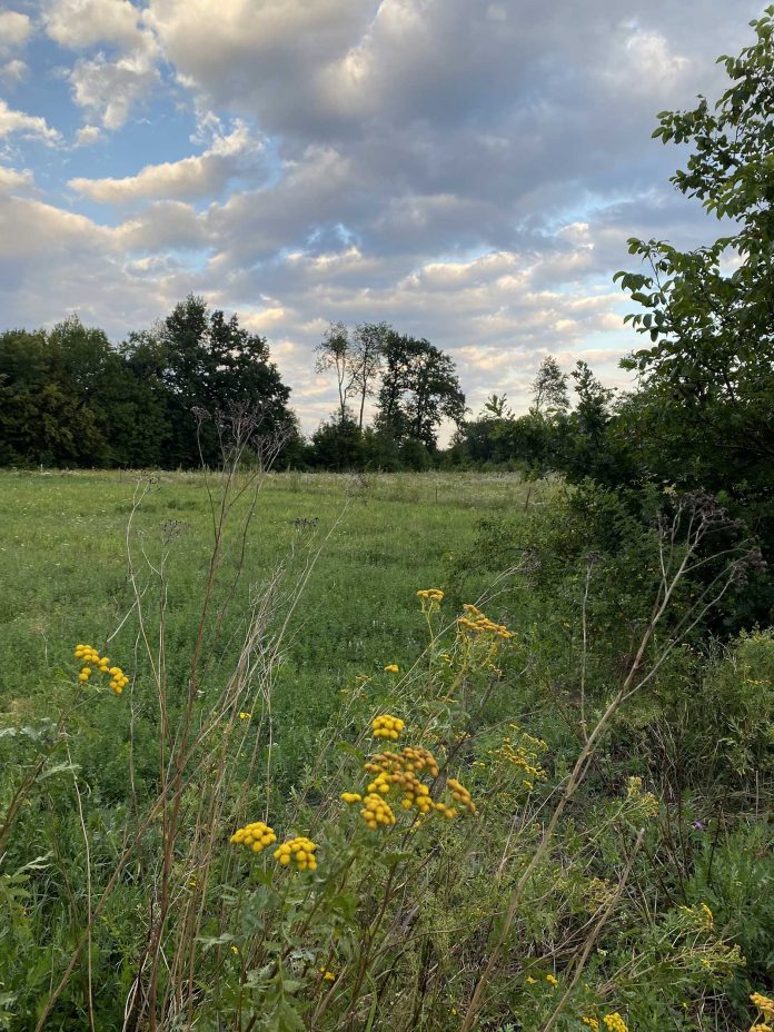 Poiana cu Schit © foto Peter Sragher