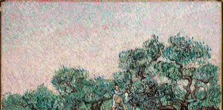 Vincent van Gogh, La cules de măsline, 1889, ulei pe pânza © foto Basil & Elise Goulandris Foundation