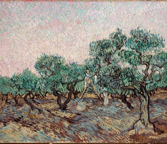 Vincent van Gogh, La cules de măsline, 1889, ulei pe pânza © foto Basil & Elise Goulandris Foundation