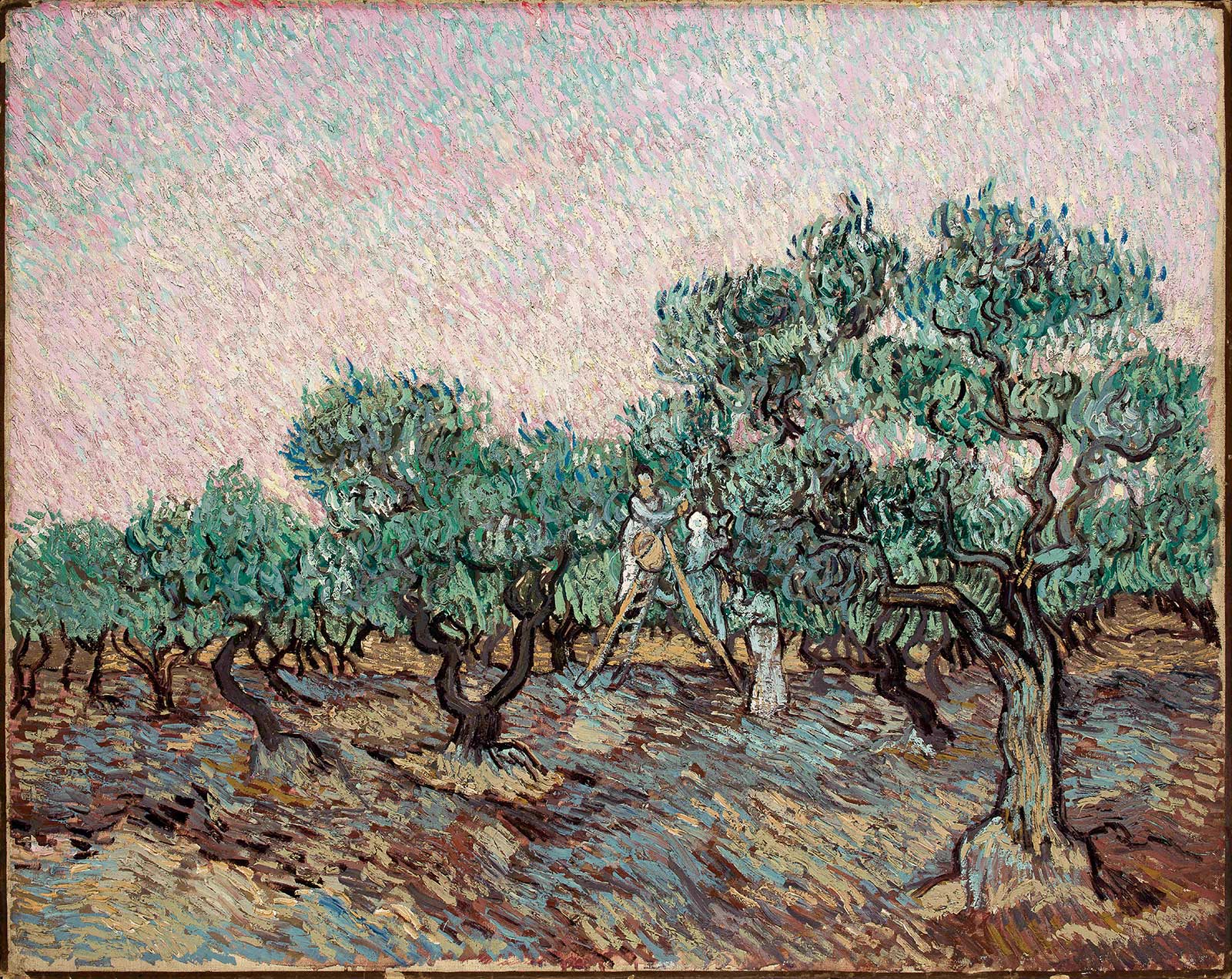 Vincent van Gogh, La cules de măsline, 1889, ulei pe pânza © foto Basil & Elise Goulandris Foundation Vincent van Gogh, La cules de măsline, 1889, ulei pe pânza © foto Basil & Elise Goulandris Foundation